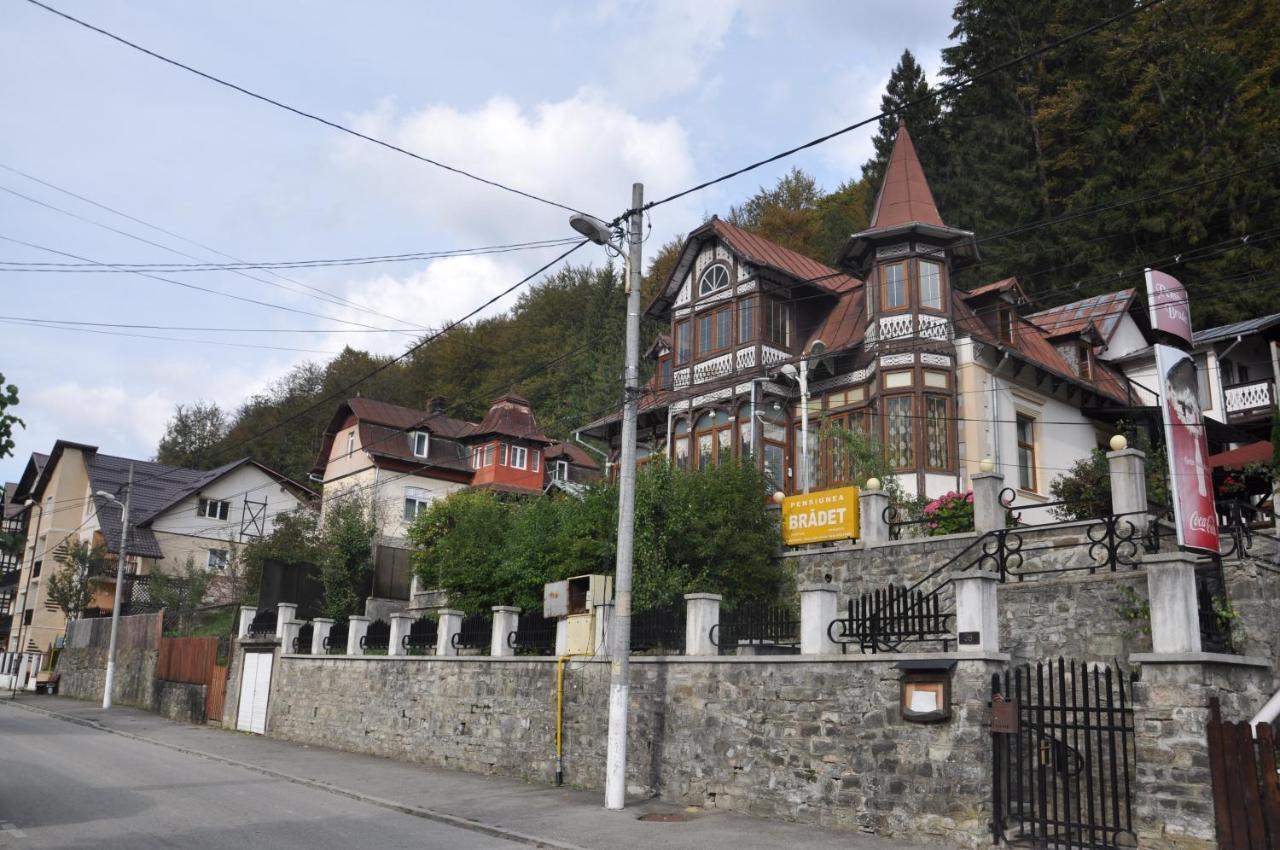 Vila Bradet Буштені Екстер'єр фото