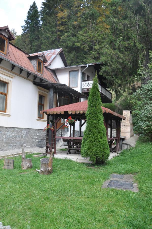Vila Bradet Буштені Екстер'єр фото