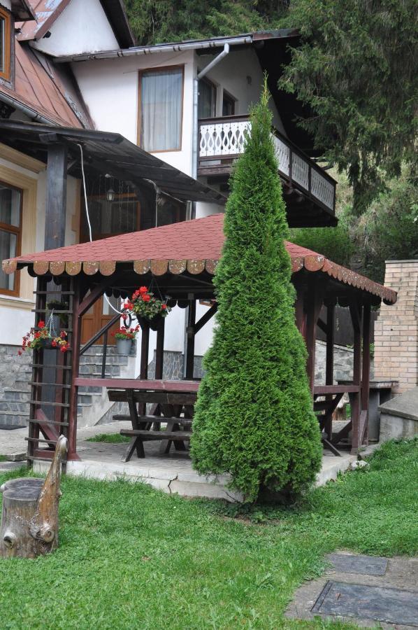 Vila Bradet Буштені Екстер'єр фото