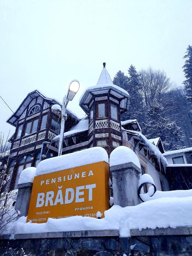 Vila Bradet Буштені Екстер'єр фото